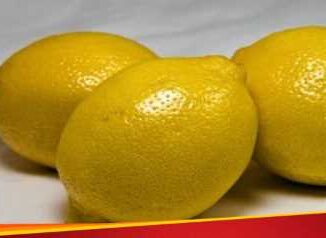 Lemon Benefits: Eat lemon daily, you will be surprised to know about its benefits to the body.