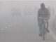 Cold havoc continues in Chhattisgarh, cold winds increased the cold…