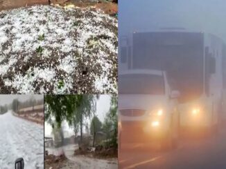 Alert of severe fog and cold for 48 hours in these districts of UP, after rain there will be relief from this date