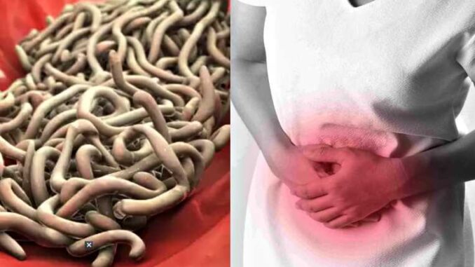 Stomach Worms Remedies: If you see these 5 symptoms then understand that there are worms in the stomach, start treatment like this