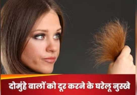 Are you troubled by the problem of split ends? Hair will become healthy with these home remedies