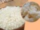 Make 5 tasty things instantly with rice flour for breakfast, children will like it very much.