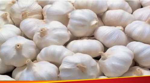 Garlic price is increasing daily, price crosses ₹ 600, arrival is less, what is the reason or something else?