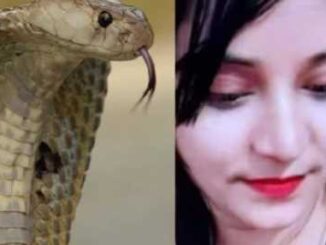 Uttarakhand: Boyfriend Ankit Chauhan died a horrific death by getting bitten by a snake, poisonous girlfriend Mahi became the 'queen'
