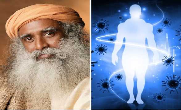 Sadhguru told the panacea for increasing immunity, these 2 things have to be eaten mixed with honey.