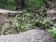 Major accident on Holi in Himachal, two killed, 7 injured in landslide