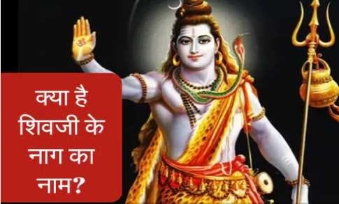 What is the name of the snake hanging around the neck of Lord Shiva? They do puja, but 99% people don't know the real name.