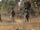 Big success for security forces in Chhattisgarh, four Naxalites carrying bounty of Rs 36 lakh killed in encounter