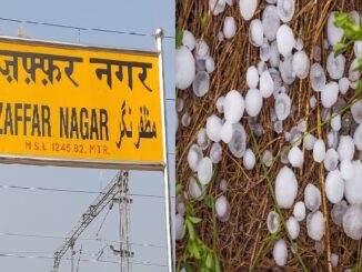 Heavy hail fell in Muzaffarnagar after rain, white sheets were spread - click to read full news