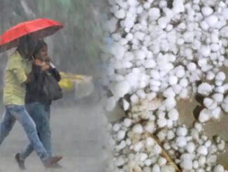 Meteorological Department's warning: Hail rain will continue in these states of the country - click to see