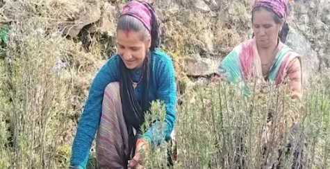 Why is Chaitra month special for the daughters-in-law of Uttarakhand? the reason is big