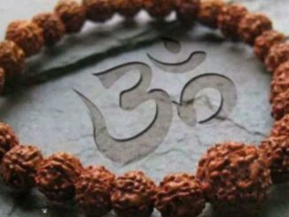 Mahashivratri 2024: Wear Rudraksh according to your zodiac sign on Mahashivratri, Bholenath's blessings will remain with you throughout your life.