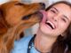 Be careful...does your dog lick your face? then you may lose your life