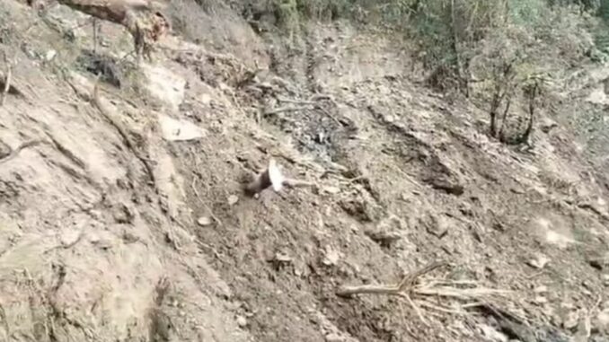 Uttarkashi: Landslide while cutting a hill to build a road, workers saved their lives by running away, cracks appeared in many houses