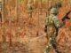 Major action by security personnel before Lok Sabha elections, six Naxalites killed in Bijapur, Chhattisgarh