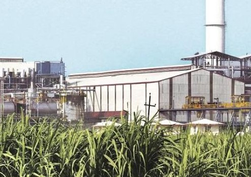 Muzaffarnagar: Shortage of sugarcane, notice issued for closure of two sugar mills