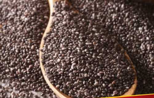 You can get rid of increasing weight by consuming chia seeds, know the benefits from nutrition expert