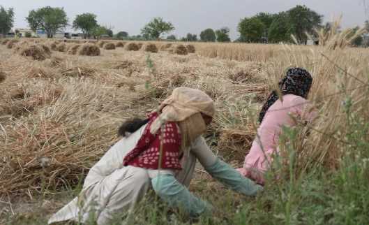 Rain alert in many districts of Haryana, increased troubles of farmers; The weather department made this prediction
