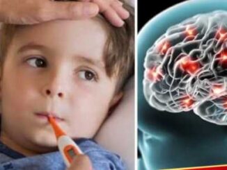 Chamki fever: If these 5 symptoms are seen in children then get them checked immediately, this can be a fatal disease.