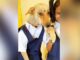 Dog walks with girl to school wearing school uniform, people can't believe it after watching the video