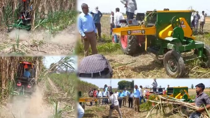 Sugarcane cutting and peeling machine was trialled in Muzaffarnagar, people were stunned.