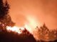 The rate of forest fire in Uttarakhand increased three times, more incidents in this district after Nainital