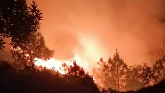 The rate of forest fire in Uttarakhand increased three times, more incidents in this district after Nainital