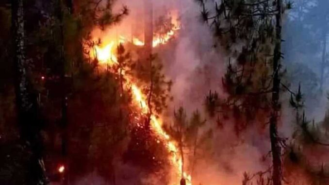 Fire is burning in the forests, there is darkness on the mountains… electricity failure in 125 villages of Pithoragarh for 48 hours