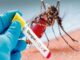 Health department's alert regarding dengue and chikungunya in Uttarakhand, guidelines issued