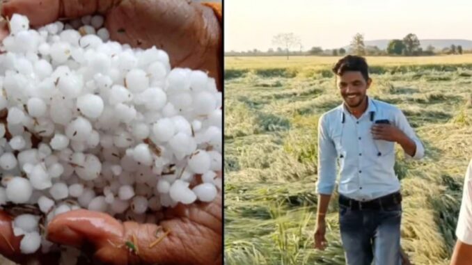 Storm, rain and hail caused havoc in Rajasthan, 4 people died due to lightning.