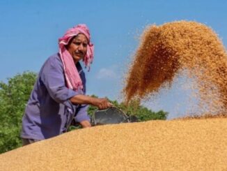 Muzaffarnagar: Wheat will also be purchased from share cropping farmers at government centers