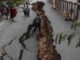 Earth shook due to powerful earthquake, strong tremors of 6.3 magnitude - know where and how much impact