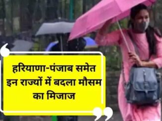 Haryana Weather Update: Rain with strong winds in 6 districts of Haryana, IMD issues yellow alert