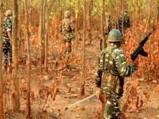 Big success for police before second phase of voting in Chhattisgarh, 7 Naxalites arrested