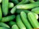 Cucumber Side Effects: Eating cucumber at this time is risky, it may cause harm instead of benefits.