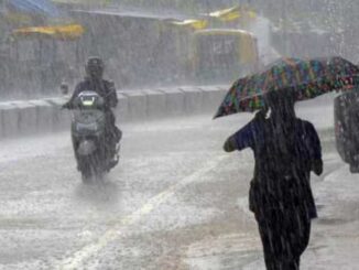 Weather will change in Madhya Pradesh in the next three days, hail will fall with rain, IMD issued alert