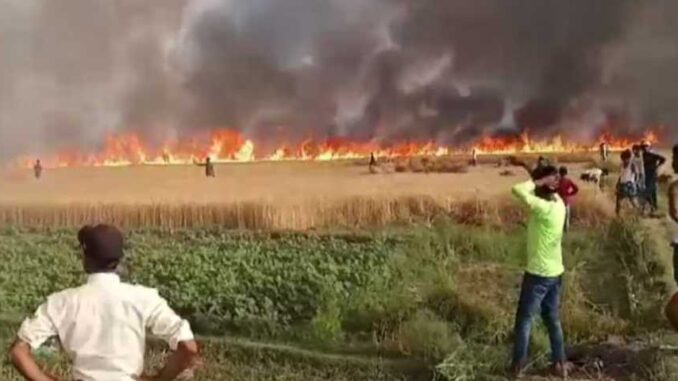 Orgy of fire in Bihar... Fire broke out in wheat fields, hundreds of bighas of crops were destroyed in no time.