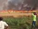 Orgy of fire in Bihar... Fire broke out in wheat fields, hundreds of bighas of crops were destroyed in no time.