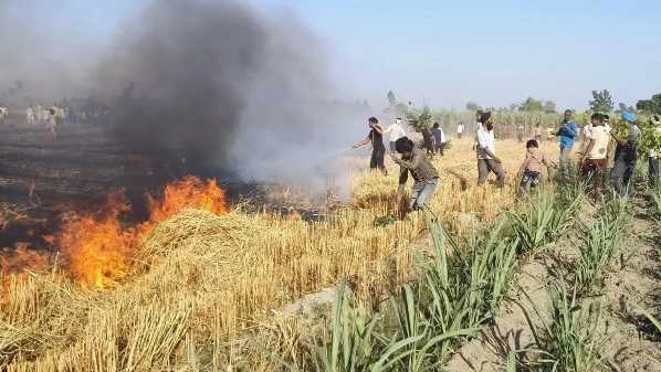 In Haryana, not only hail or rain but also fire is raining havoc on farmers, 16 acres of wheat crop destroyed