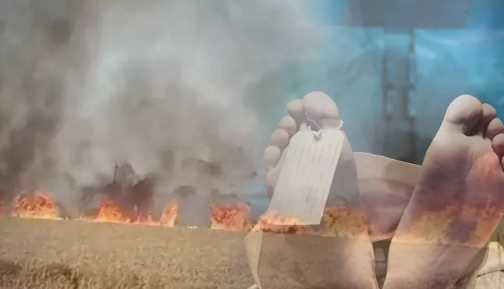Massive fire breaks out in wheat field in Haryana, farmer dies while trying to save crop