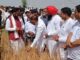 Farmers' crops destroyed in Haryana, pain of farmers expressed in front of CM Naib Saini in Karnal