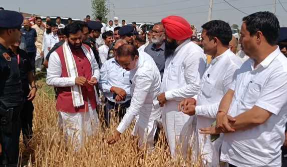 Farmers' crops destroyed in Haryana, pain of farmers expressed in front of CM Naib Saini in Karnal