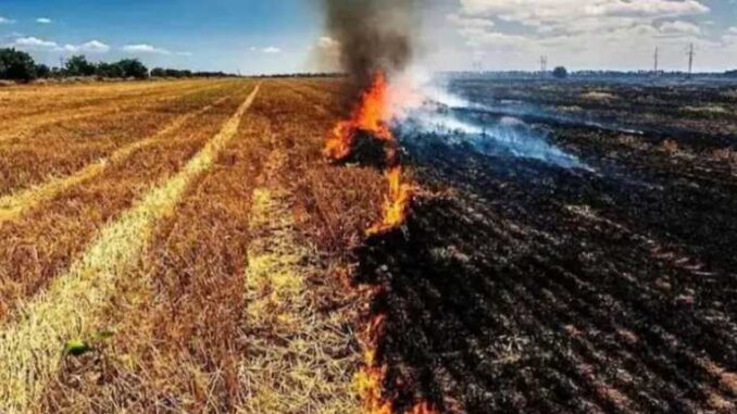 Despite the ban, farmers are burning stubble in Haryana, government imposed fine on 8 farmers