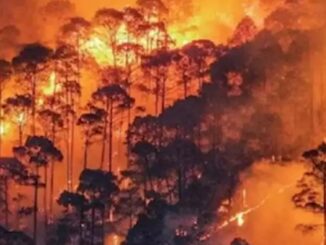 The fire in the forests of Uttarakhand went out of control, the Supreme Court...