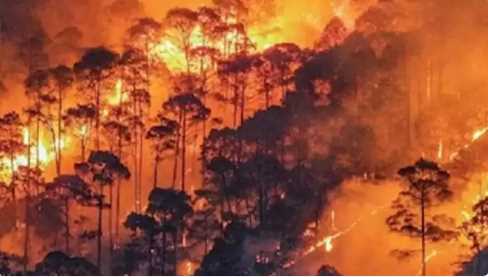 Supreme Court strict on forest fire in Uttarakhand, reprimanded Dhami government