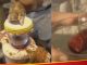 What happens to a person's body after being bitten by a snake? Man shows off mixing poison in blood, watch video