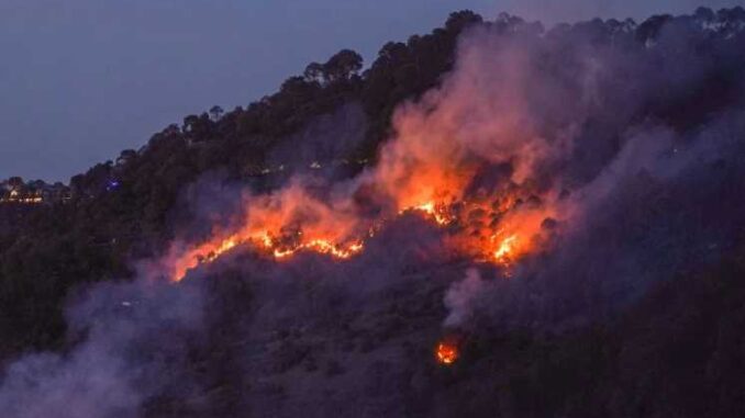 Uttarakhand: Blazing fire in the forests can spoil the eco system, danger looms on the glacier.