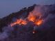 Uttarakhand: Blazing fire in the forests can spoil the eco system, danger looms on the glacier.