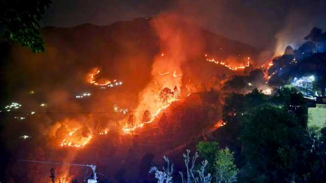 Greed for likes and views on social media burnt down forest, 3 youths from Bihar caught in Chamoli