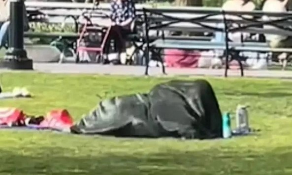 Video of indecent act of loving couple in the park goes viral, people get angry on social media